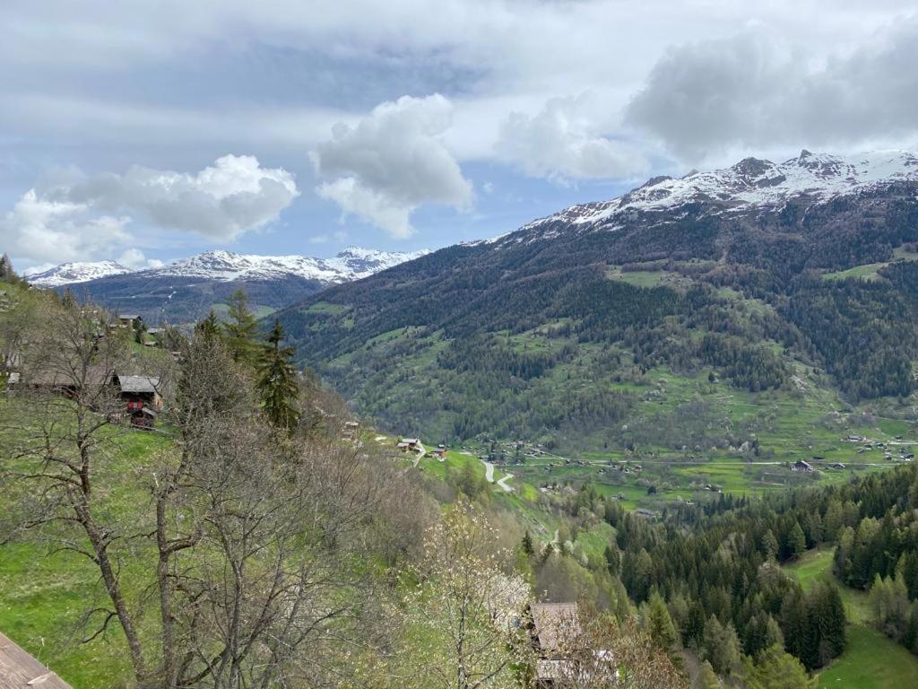 Residence Platane B Grimentz Exterior foto